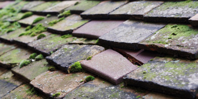 Llanvapley roof repair costs